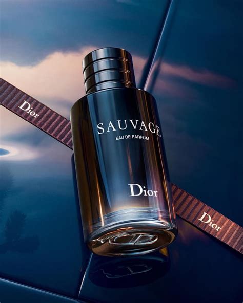 parfum dior sauvage homme|sauvage parfum fragrantica.